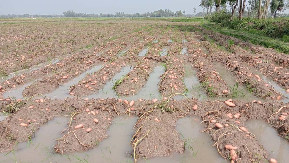 ছবি- রূপালী বাংলাদেশ
