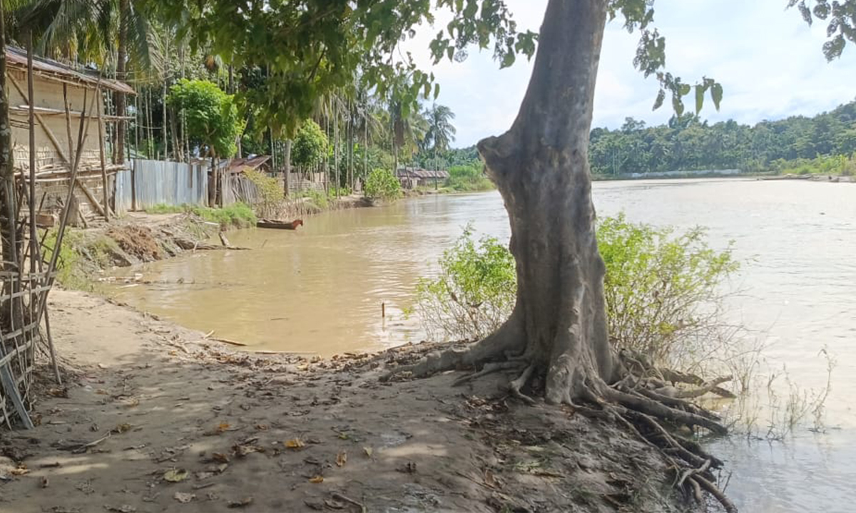 কাচালংয়ে বিলীন বহু বসতবাড়ি, দিশাহারা পাড়ের বাসিন্দারা