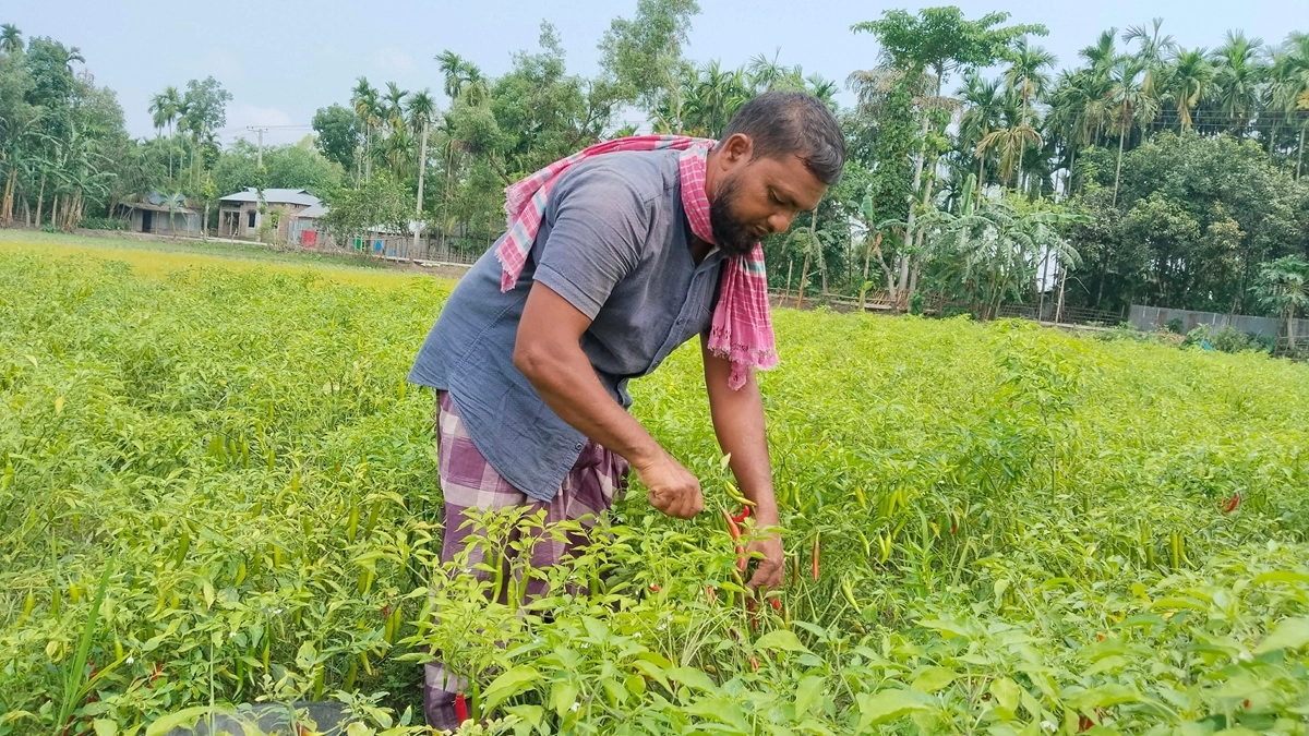 ছবি : রূপালী বাংলাদেশ