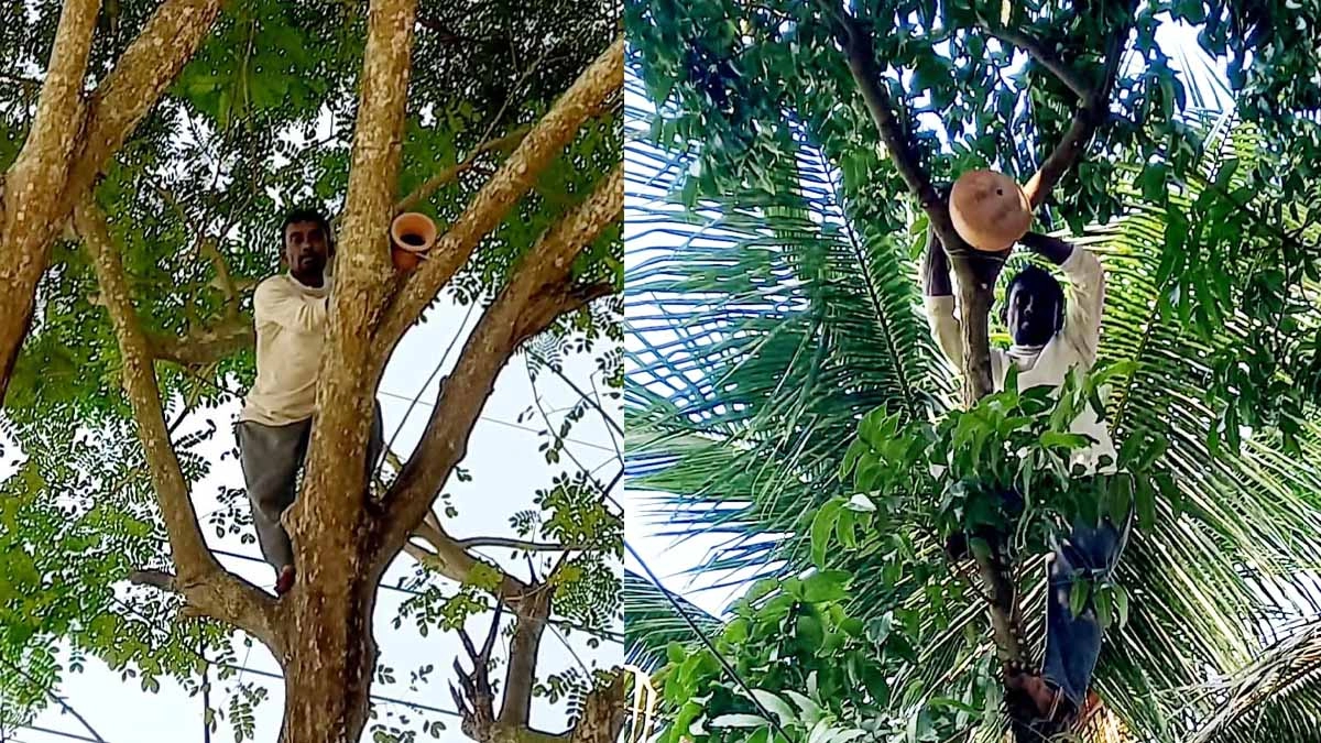 এসব হাঁড়িতে শুধু পাখিই নয়, কাঠবিড়ালিও বাসা বেঁধে বংশবিস্তার করছে। ছবি- রূপালী বাংলাদেশ