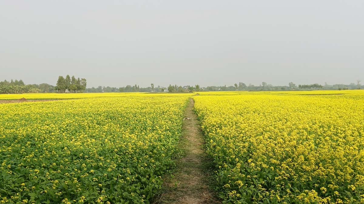 ছবি- রূপালী বাংলাদেশ