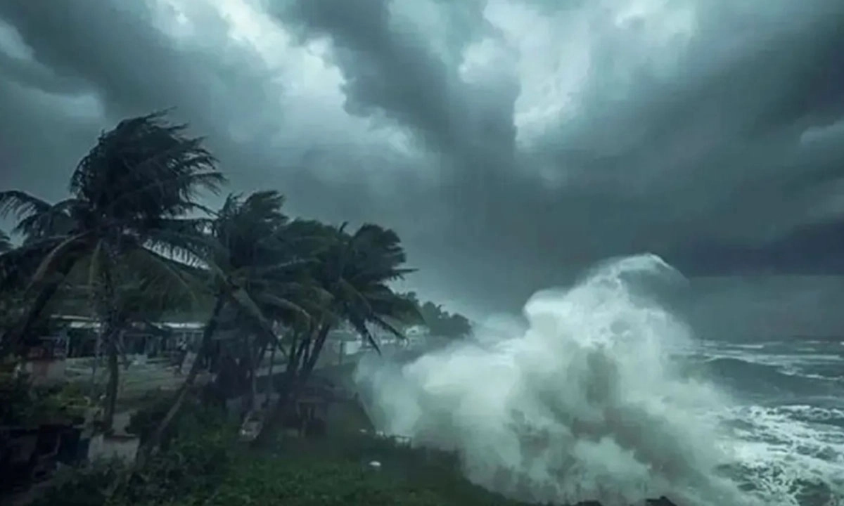 ছবি : সংগৃহীত