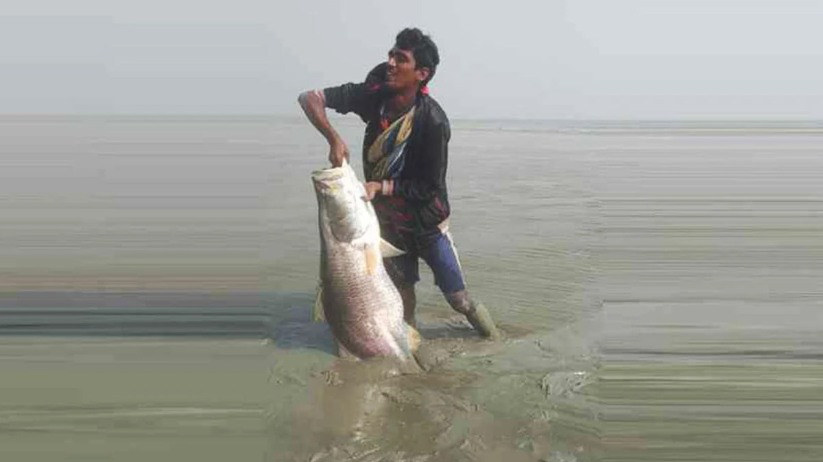 কোরাল মাছ হাতে  জেলে আনোয়ার হোসেন । ছবি : সংগৃহীত