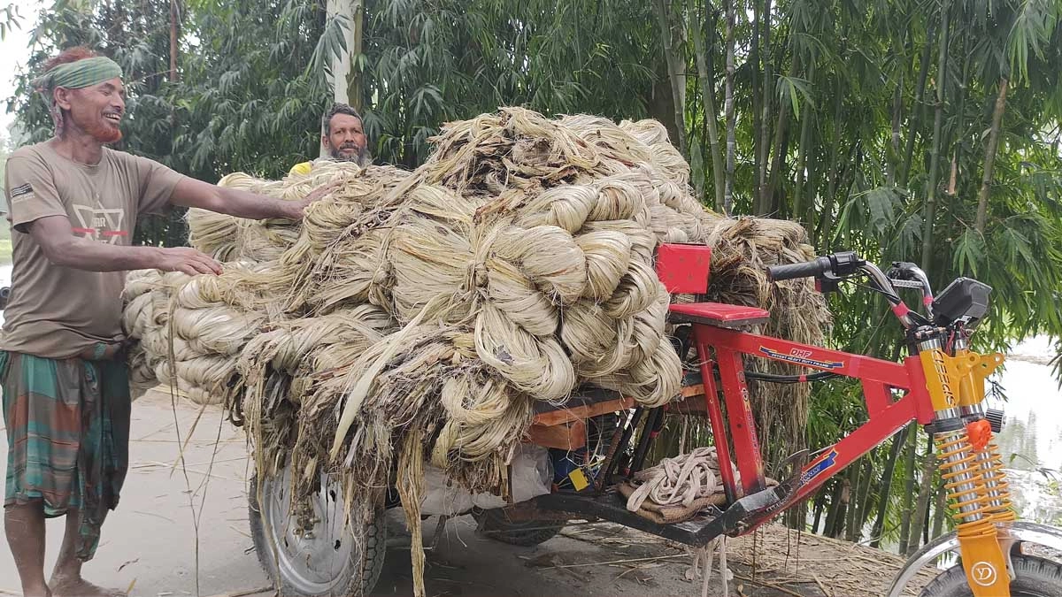 পাট চাষিদের কেউ পাট ধোয়া কেউবা পাট শুকানোর কাজে ব্যস্ত।   ছবি- রূপালী বাংলাদেশ