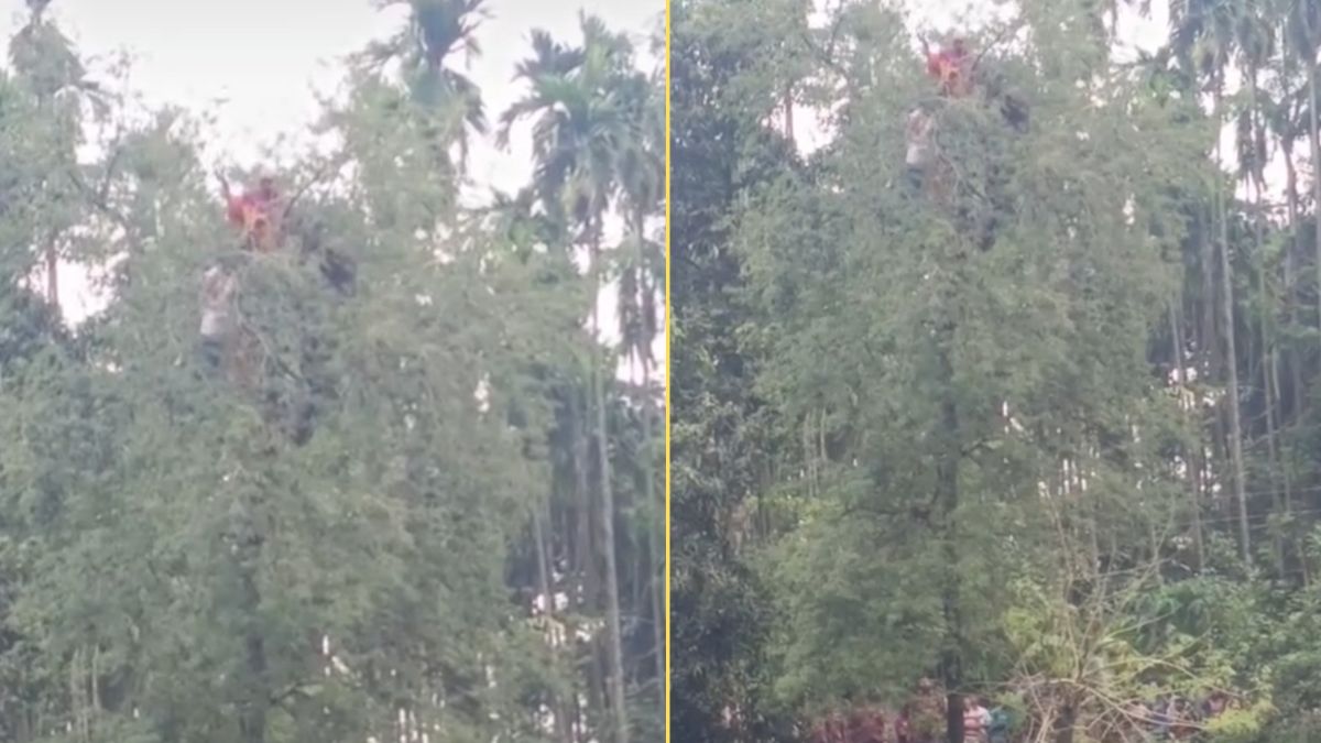 ছবি : রূপালী বাংলাদেশ