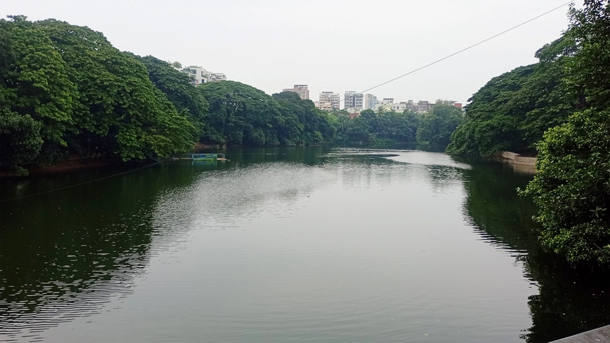 ছবি- সংগৃহীত