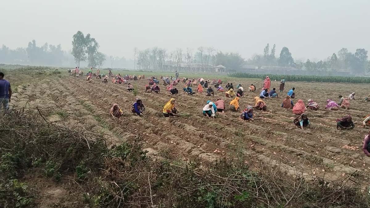ছবি- রূপালী বাংলাদেশ