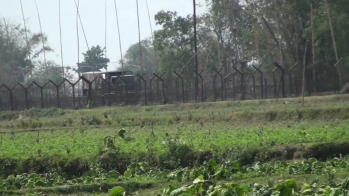 সীমান্তে কাঁটাতারের বেড়া। ছবি: সংগৃহীত