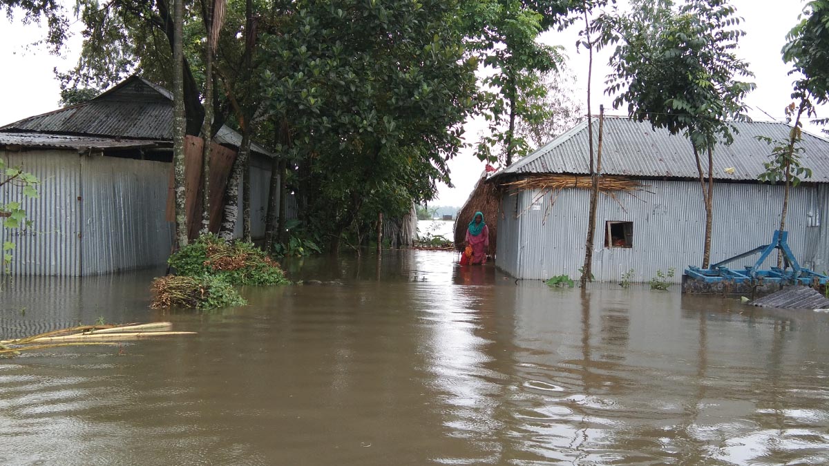 তিস্তার বাম তীরের নিম্নাঞ্চলগুলো প্লাবিত হয়ে প্রায় ১৫ হাজার পরিবার পানিবন্দি হয়ে পড়েছে।       ছবি- রূপালী বাংলাদেশ