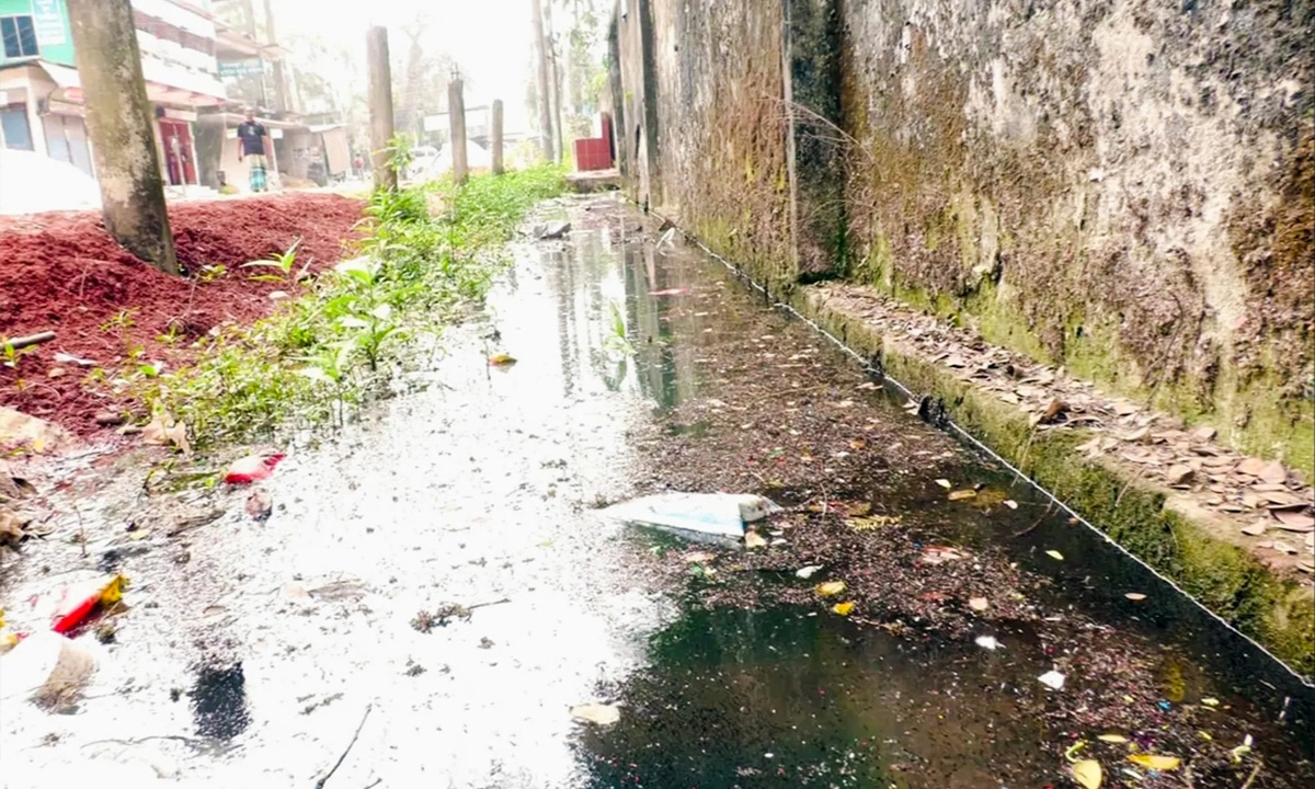 ছবি : রূপালী বাংলাদেশ