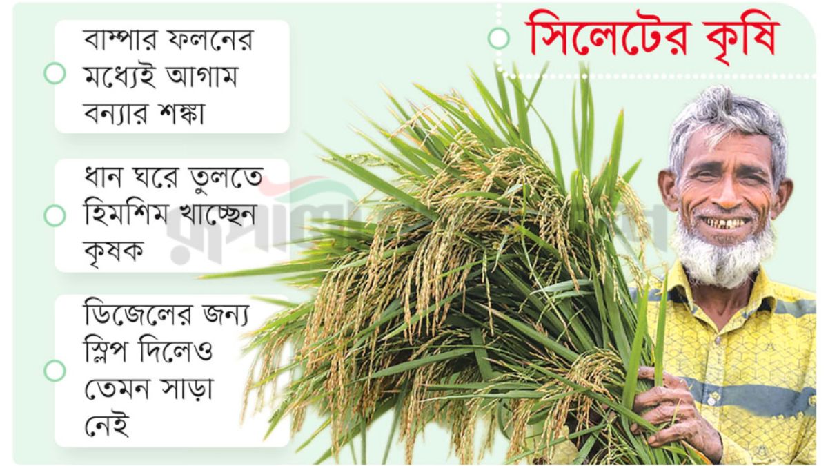 ছবি - রূপালী বাংলাদেশ