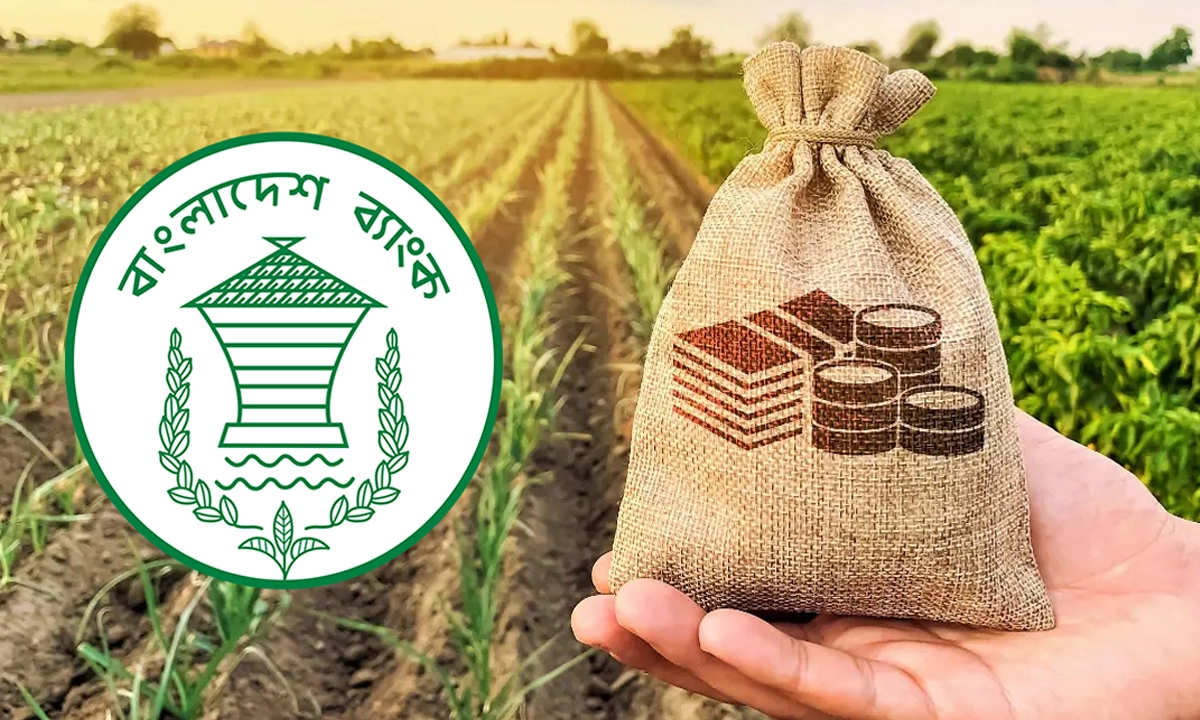 কৃষকদের ৩৯ হাজার কোটি টাকা ঋণ দেবে ব্যাংক