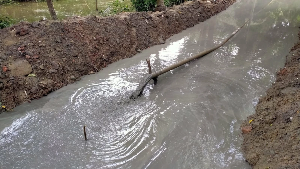 ছবি : সংগৃহীত