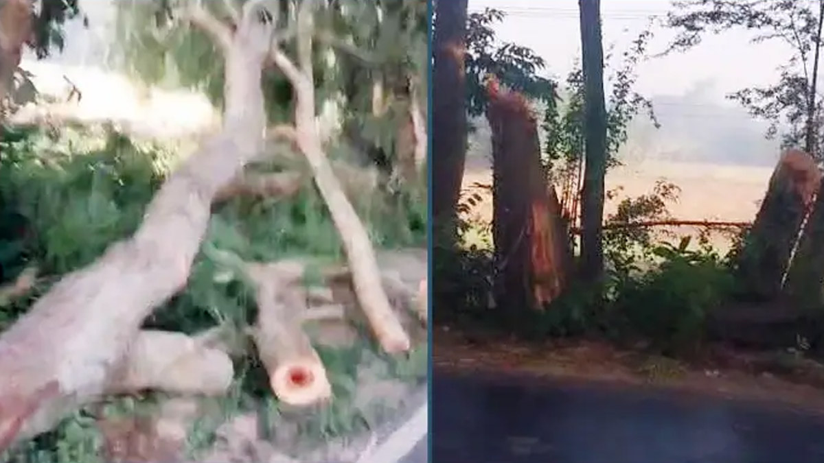 ঢাকা-বরিশাল মহাসড়ক অবরোধ । ছবি- সংগৃহীত