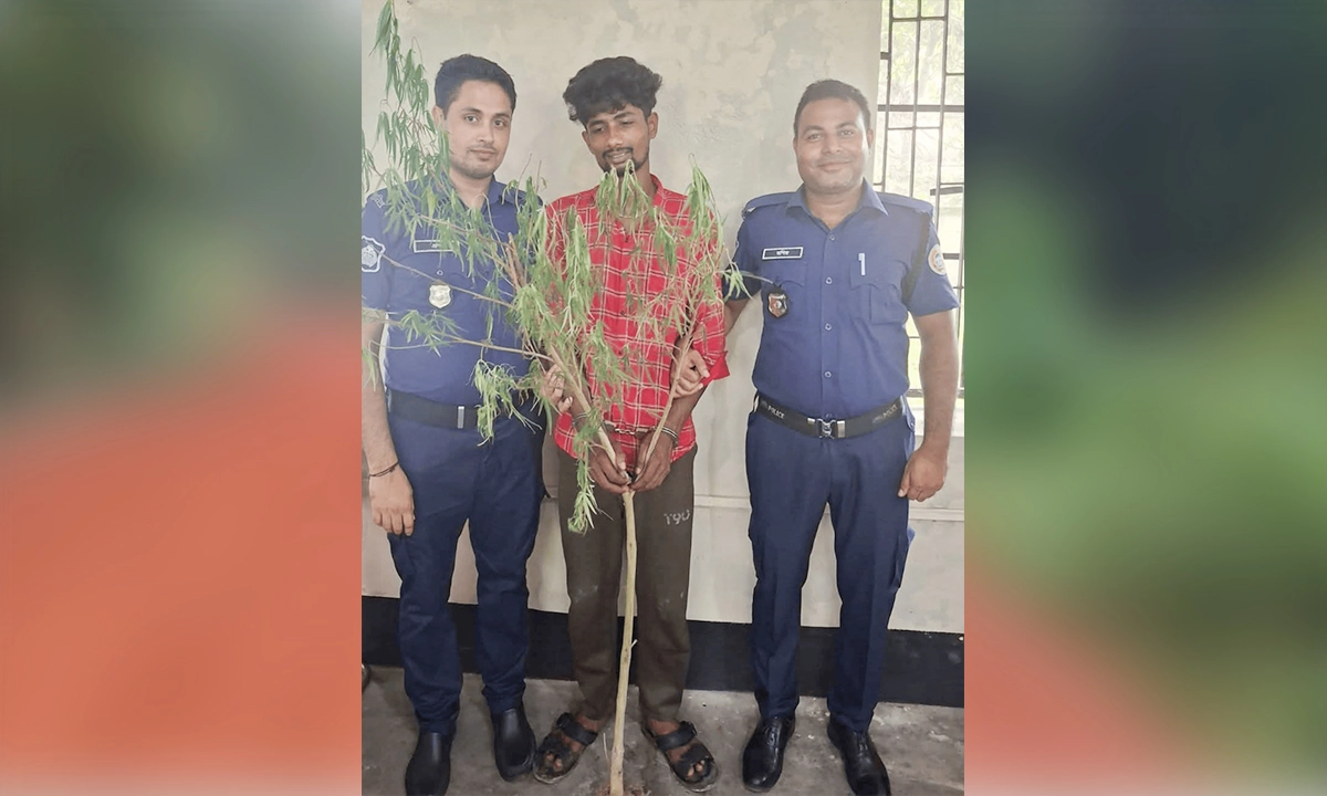 ছবি : সংগৃহীত