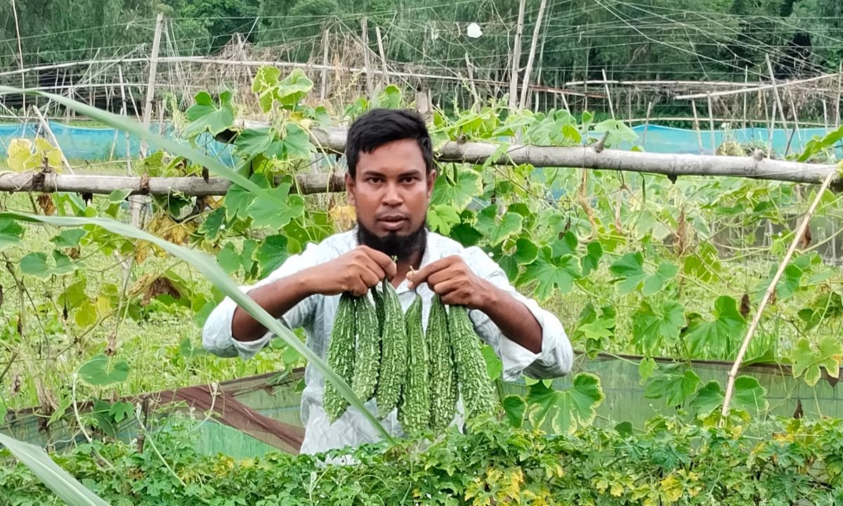 কৃষক মেহেদী হাসান তার জমির খেতে করলা হাতে। ছবি- রূপালী বাংলাদেশ