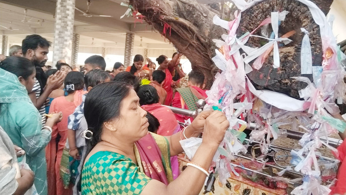 চন্দনাইশের বরমায় শুক্লাম্বর দিঘির মেলায় মনের বাসনা পূরণের জন্য বটগাছে গিট দিচ্ছেন এক মহিলা। ছবি- রূপালী বাংলাদেশ