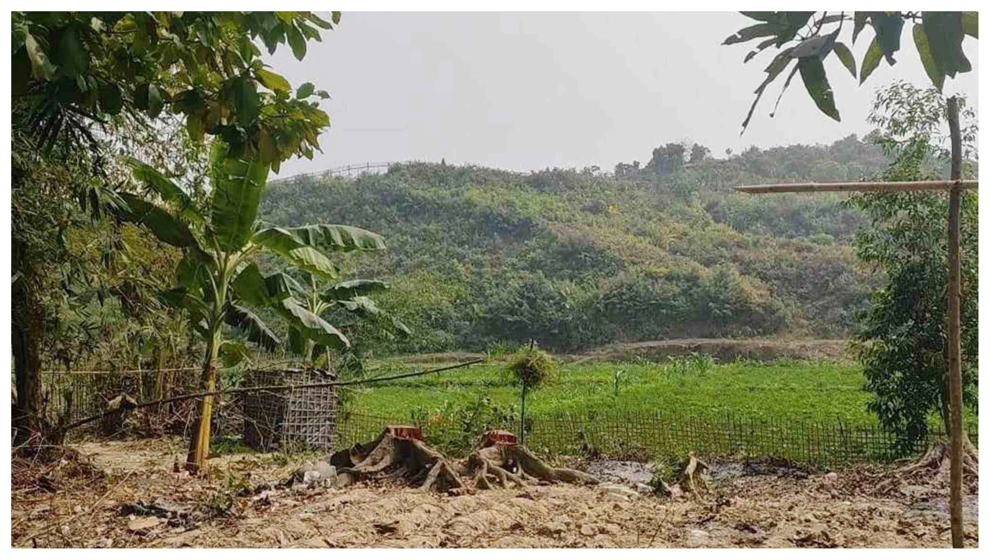 মিয়ানমারের রাখাইন সীমান্ত। ছবি- সংগৃহীত