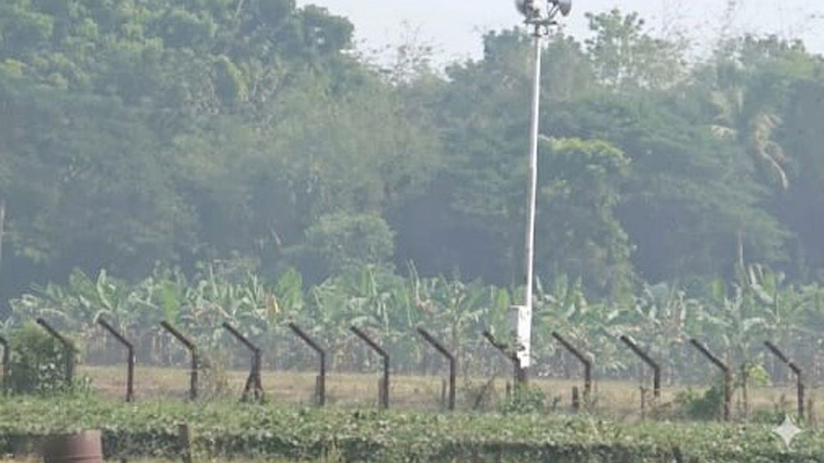মহেশপুর সীমান্ত। ছবি- রূপালী বাংলাদেশ