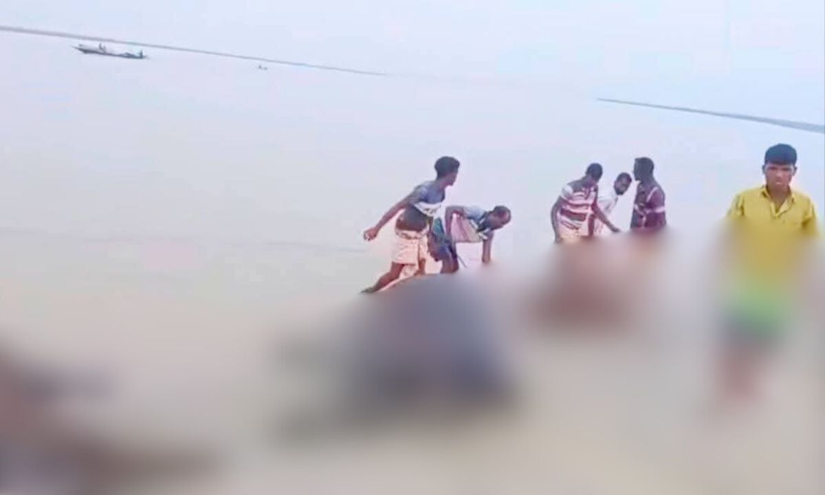 বজ্রপাতে দুই কৃষকের ১১টি মহিষ মারা গেছে। ছবি- রূপালী বাংলাদেশ