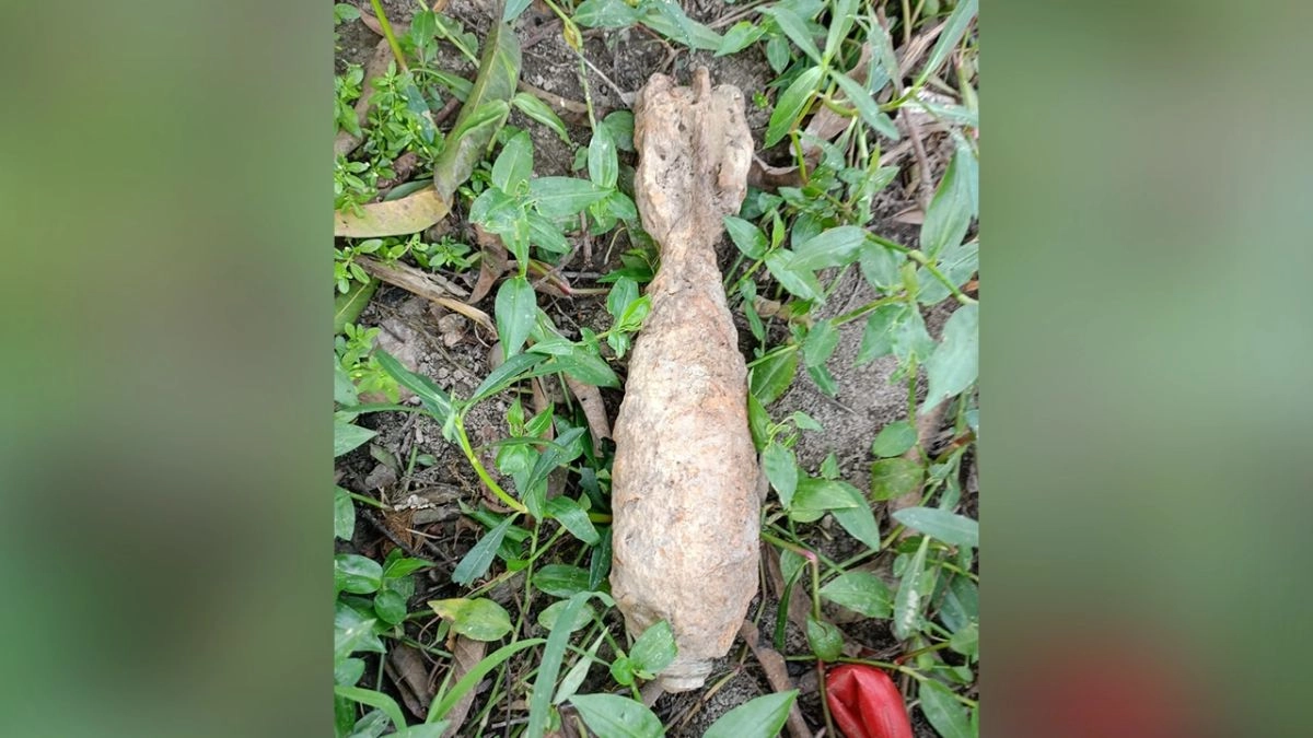 ছবি- সংগৃহীত