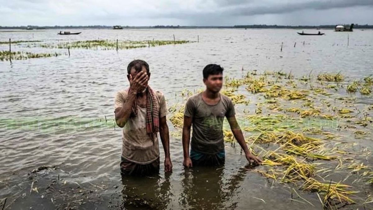 ছবি- সংগৃহীত