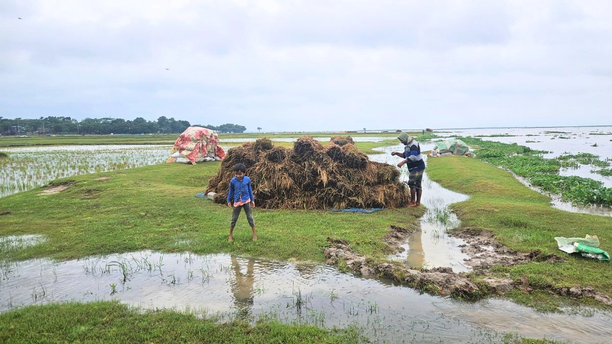 ছবি : রূপালী বাংলাদেশ
