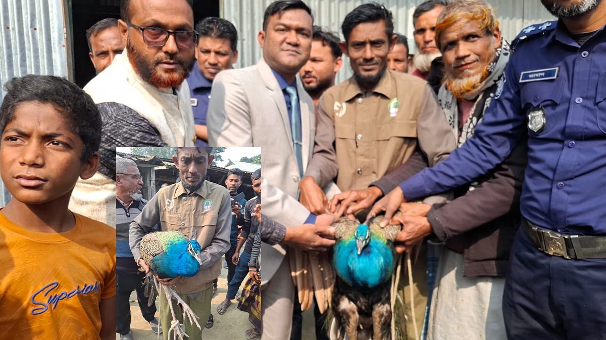 ছবি- রূপালী বাংলাদেশ