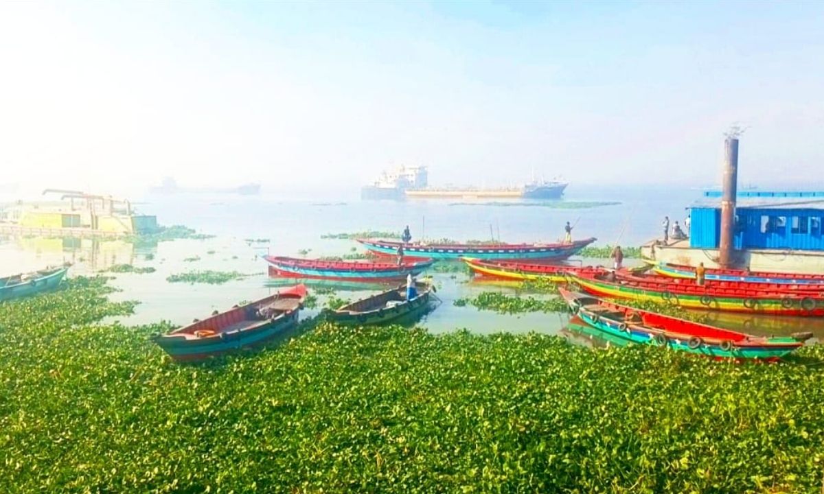 ঘাটে যাত্রীবাহী ট্রলার। ছবি : রূপালী বাংলাদেশ