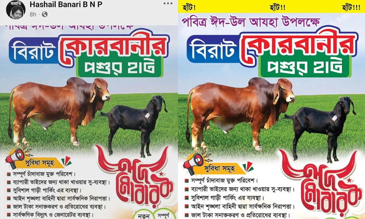 ছবি : রূপালী বাংলাদেশ