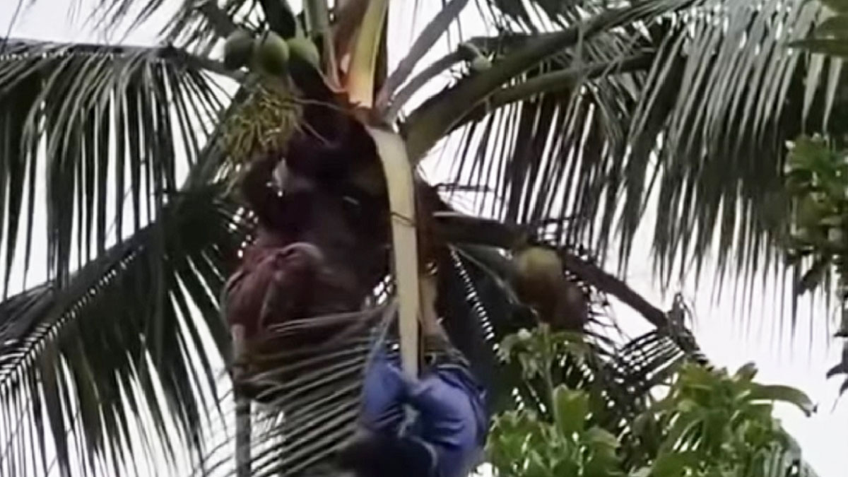 ছবি- রূপালী বাংলাদেশ
