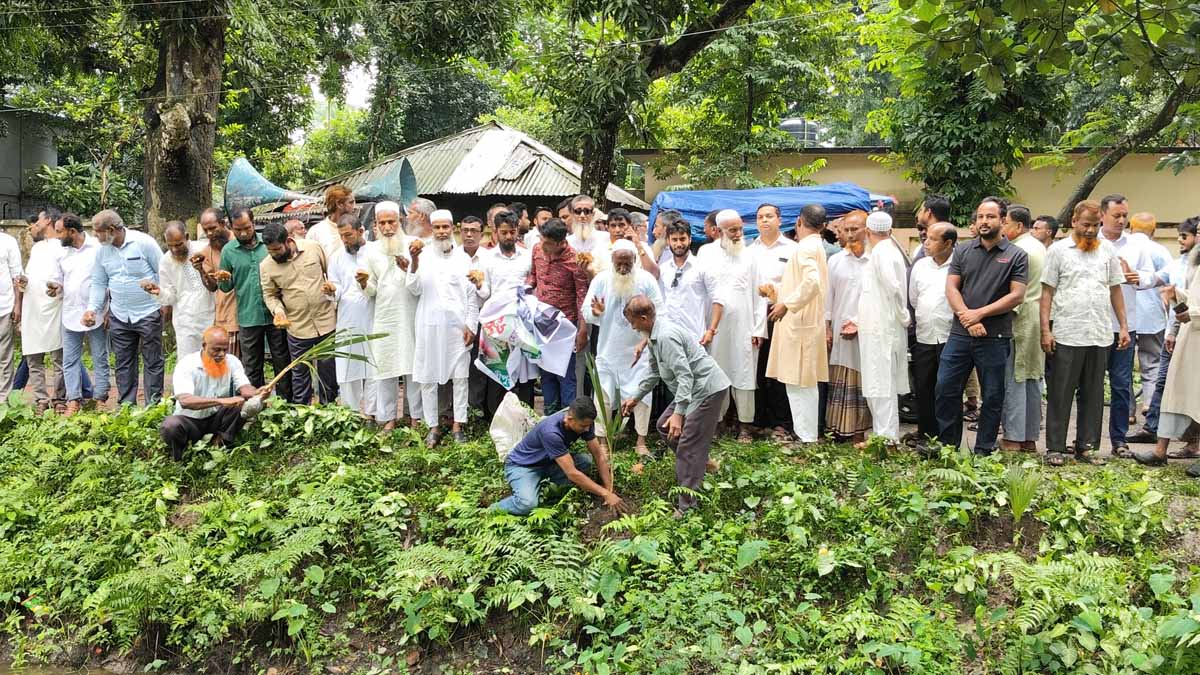 বিএনপির ৪৭তম প্রতিষ্ঠাবার্ষিকী উপলক্ষে ময়মনসিংহের গৌরীপুরে ২ হাজার তালগাছের চারা রোপণ। ছবি- রূপালী বাংলাদেশ
