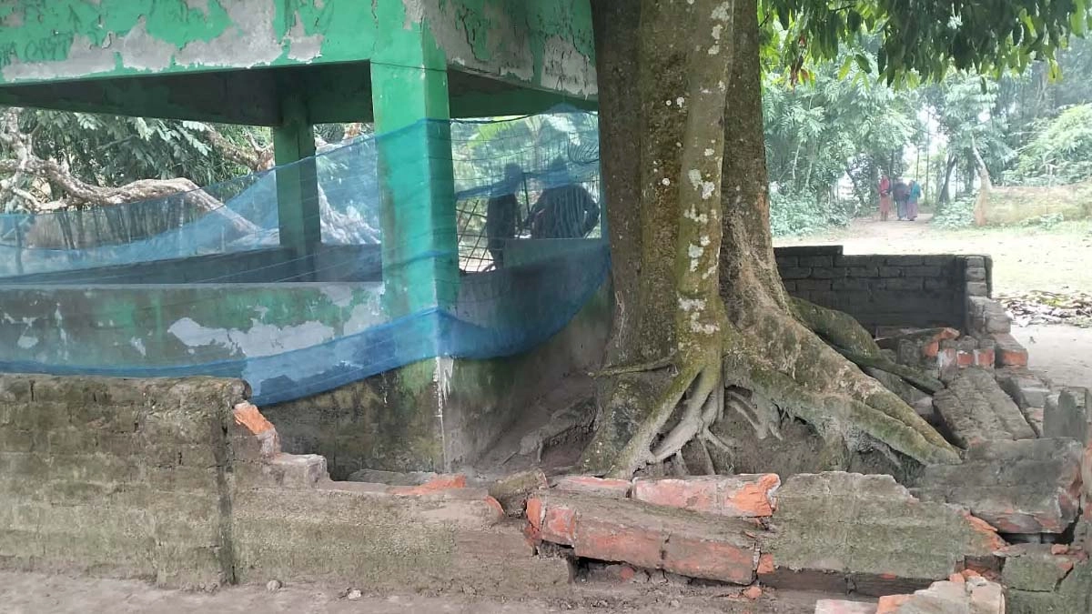 ছবি- রূপালী বাংলাদেশ
