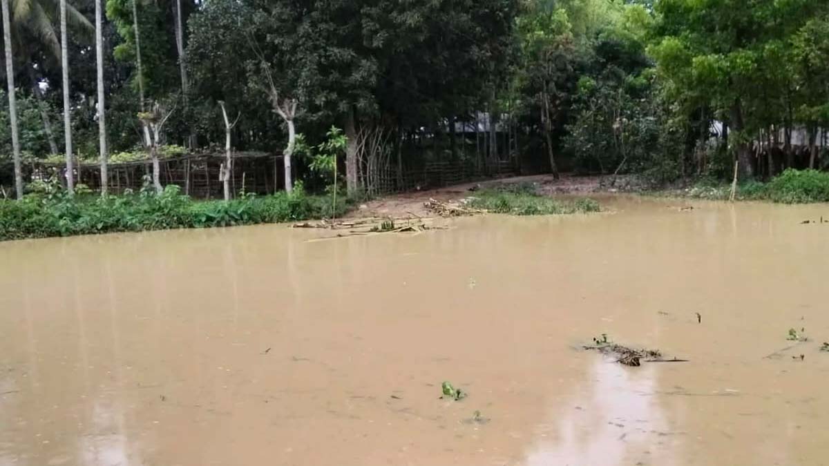 ছবি- রূপালী বাংলাদেশ