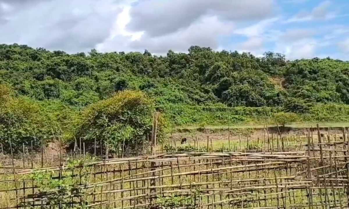 নাইক্ষ্যংছড়ি উপজেলার ঘুমধুম সীমান্ত। ছবি- রূপালী বাংলাদেশ