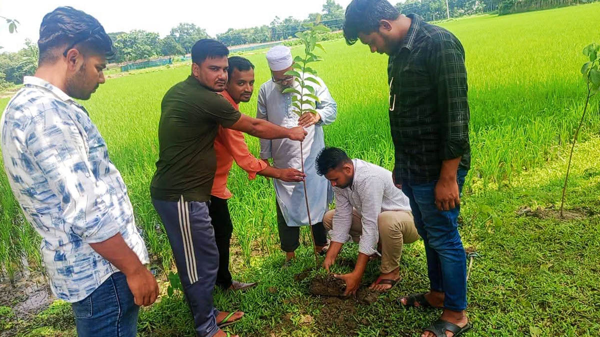 নান্দাইলে পাঁচানি উচ্চ বিদ্যালয়ে গাছের চারা রোপণ। ছবি- রূপালী বাংলাদেশ
