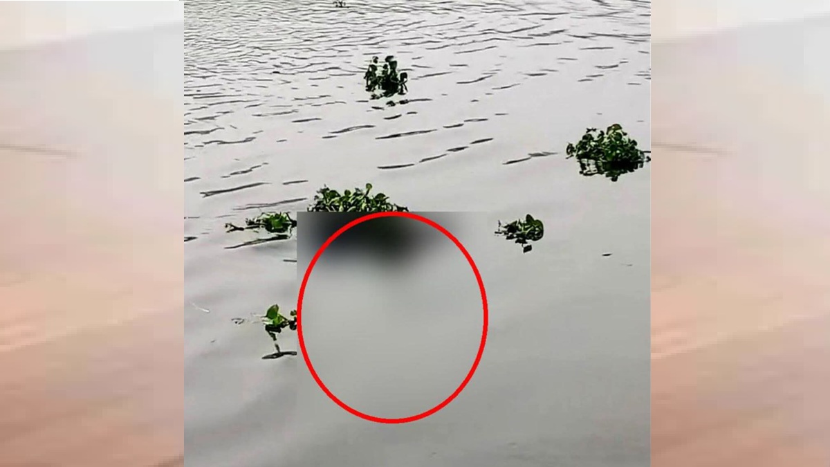 ছবি : রূপালী বাংলাদেশ