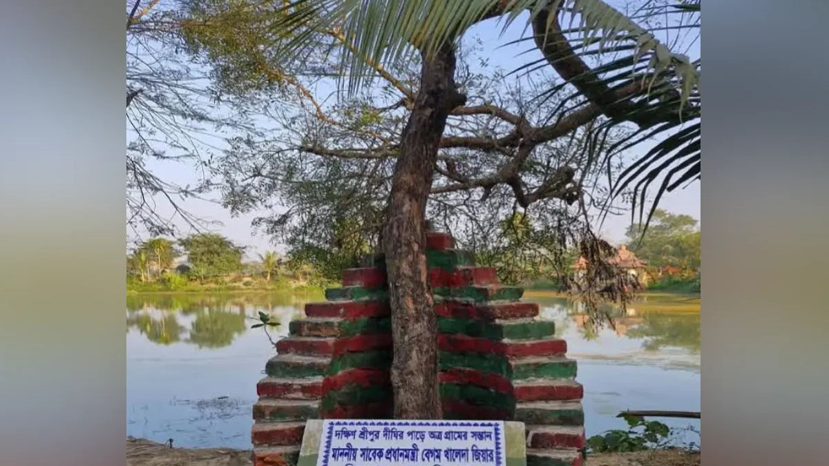খালেদা জিয়ার হাতে লাগানো নিমগাছ।   ছবি : সংগৃহীত