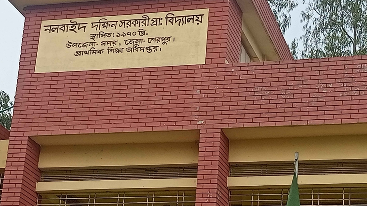 নলবাইদ দক্ষিণ সরকারি প্রাথমিক বিদ্যালয়। ছবি : সংগৃহীত