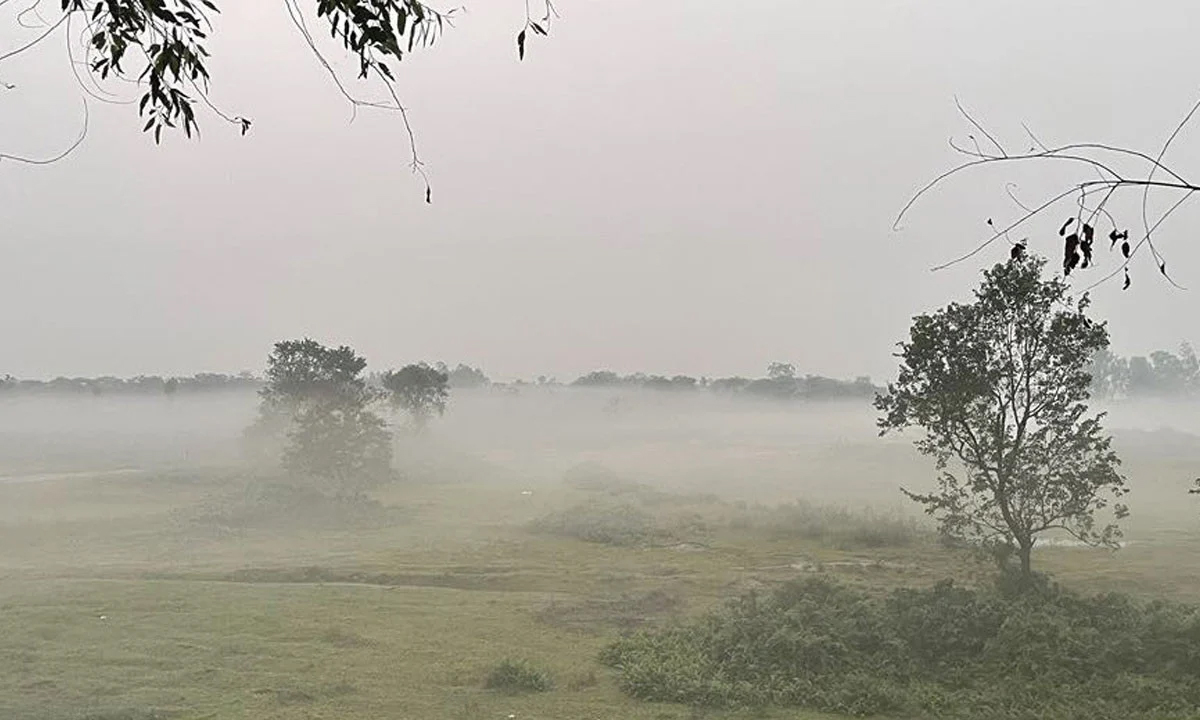 ছবি : সংগৃহীত