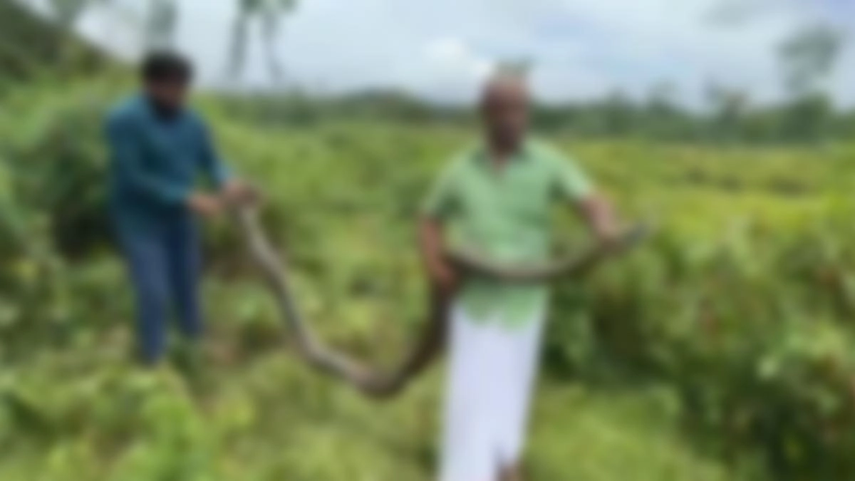 ছবি- রূপালী বাংলাদেশ