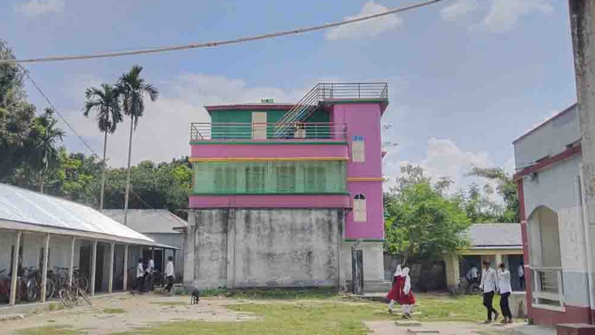 বিদ্যালয়ের ভিতরে আওয়ামী লীগ কর্মীর  তিনতলা বাড়ি।       ছবি- সংগৃহীত