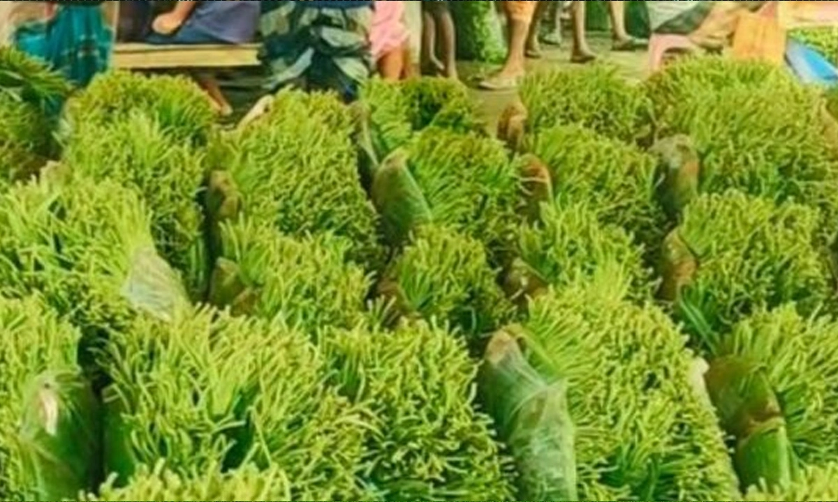 ছবি : রূপালী বাংলাদেশ