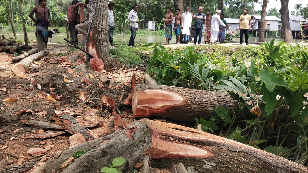 ছবি- রূপালী বাংলাদেশ