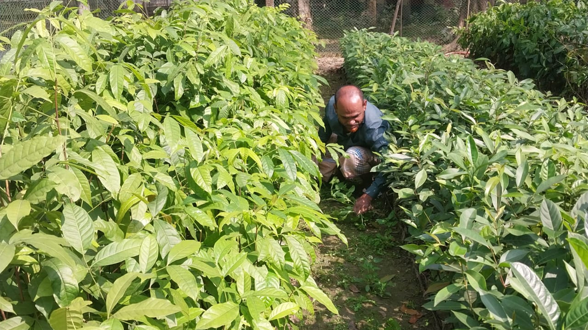 ছবি : রূপালী বাংলাদেশ