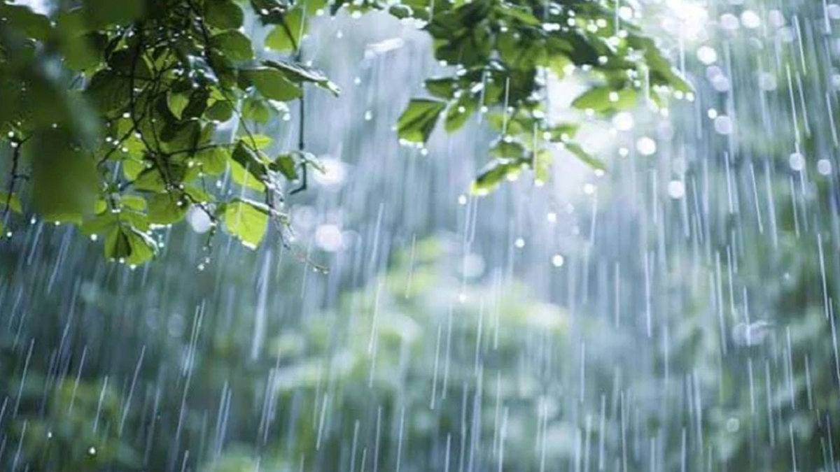 বৃষ্টি হচ্ছে। ছবি- সংগৃহীত
