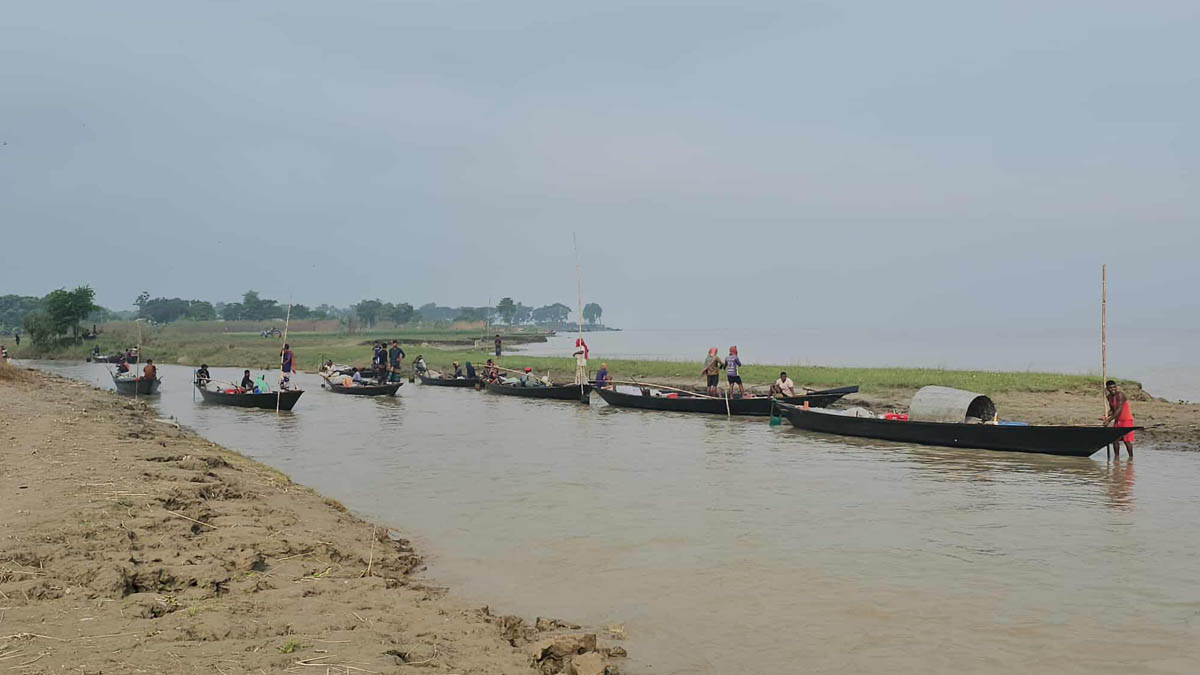 পদ্মাপাড়ে অস্থায়ী হাট বসিয়ে প্রকাশ্যেই এসব মাছ বিক্রি করা হচ্ছে। ছবি- রূপালী বাংলাদেশ