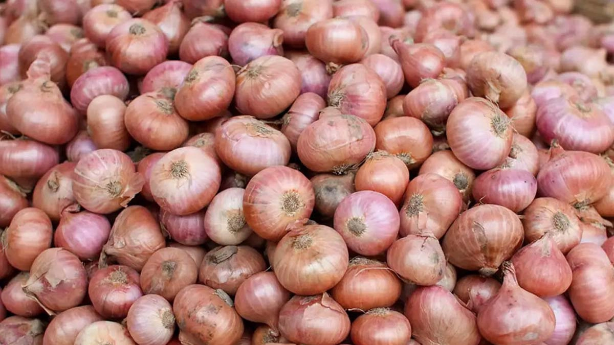 ছবি- রূপালী বাংলাদেশ