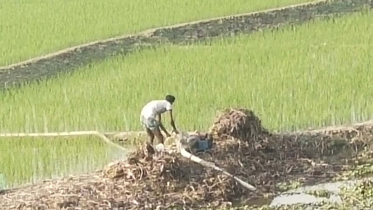 ছবি- রূপালী বাংলাদেশ