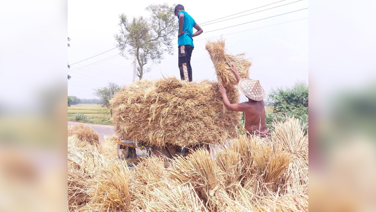 ছবি- রূপালী বাংলাদেশ